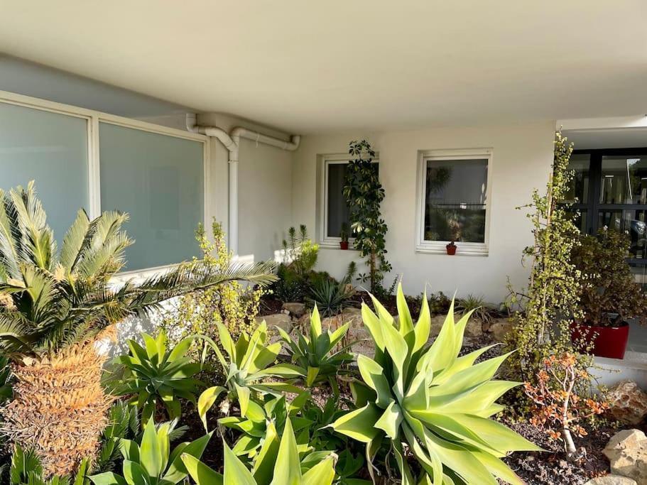 Appartement 21 - Tres Agreable Rdc Avec Terrasse Et Parking à Bandol Extérieur photo