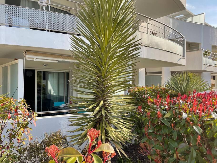 Appartement 21 - Tres Agreable Rdc Avec Terrasse Et Parking à Bandol Extérieur photo